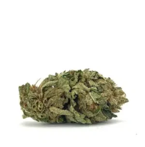 Black Domina, Black Domina AAA, Black Domina Strain, Black Domina Cannabis, Black Domina Flower, AAA Cannabis Flower, Indica Cannabis