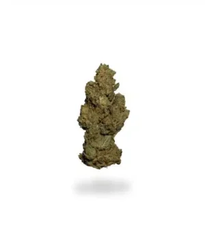 High Society, High Society Strain, High Society Cannabis, Cannabis Flower, Hybrid Cannabis, Premium Cannabis Flower