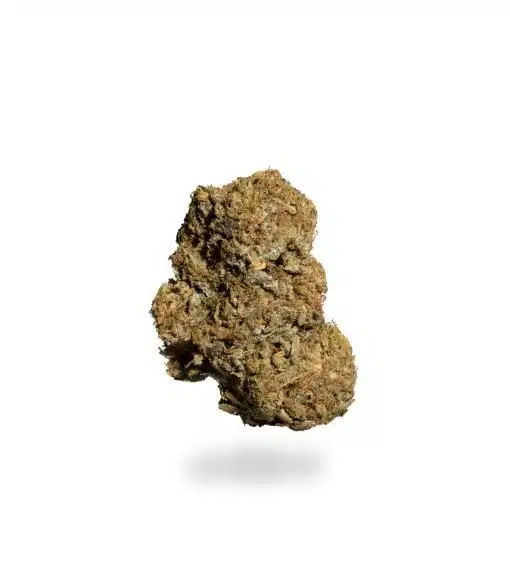 Horchata, Horchata Strain, Horchata Cannabis, Cannabis Flower, Hybrid Cannabis, Premium Cannabis Flower Horchata, Horchata Strain, Horchata Cannabis, Cannabis Flower, Hybrid Cannabis, Premium Cannabis Flower
