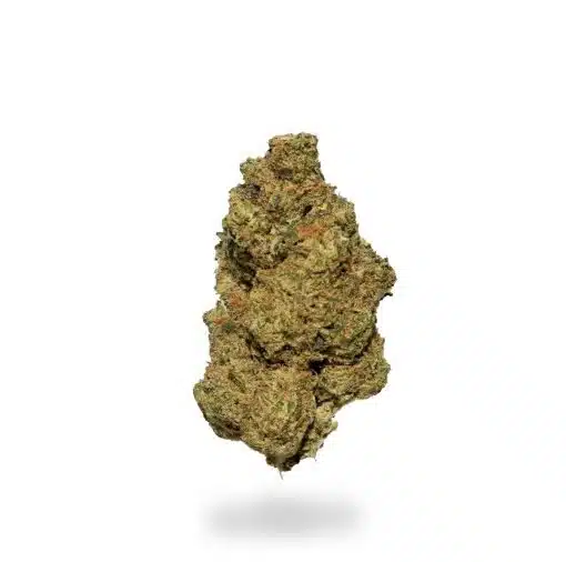Mac and Cheese, Mac and Cheese AAA, Mac and Cheese Strain, Mac and Cheese Cannabis, AAA Cannabis Flower, Hybrid Cannabis, Cannabis Flower Mac and Cheese, Mac and Cheese AAA, Mac and Cheese Strain, Mac and Cheese Cannabis, AAA Cannabis Flower, Hybrid Cannabis, Cannabis Flower