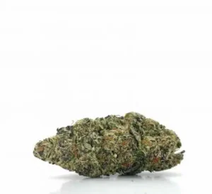 Platinum Huckleberry Cookies, Huckleberry Cookies, Platinum Cannabis, Cannabis Flower, Hybrid Cannabis, Premium Cannabis Flower Platinum Huckleberry Cookies, Huckleberry Cookies, Platinum Cannabis, Cannabis Flower, Hybrid Cannabis, Premium Cannabis Flower