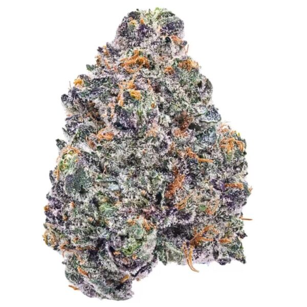 Rainbow-Belts-Strain-THCa-Flower-Indoor-Special-1200x1200 Rainbow Belts AAA, Rainbow Belts cannabis flower, AAA-grade cannabis flower, premium hybrid cannabis buds, Cannabis Exotic Dispensary flower, sweet cannabis strain, fruit-flavored cannabis flower, balanced hybrid cannabis, trichome-rich buds, moderate potency cannabis, discreet cannabis shipping, adult-use cannabis flower,