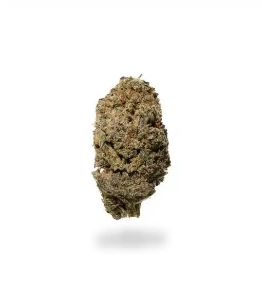Lava Cake, Lava Cake Strain, Lava Cake Cannabis, Lava Cake Flower, AAAA Cannabis, Hybrid Cannabis, Premium Cannabis Flower Lava Cake, Lava Cake Strain, Lava Cake Cannabis, Lava Cake Flower, AAAA Cannabis, Hybrid Cannabis, Premium Cannabis Flower