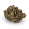 White Fire OG, White Fire OG AAAA, White Fire OG Cannabis Flower, White Fire OG Hybrid, AAAA Cannabis Flower, Premium Cannabis Flower, OG Cannabis Strain, Pine Cannabis Flower, White Fire OG, White Fire OG AAAA, White Fire OG Cannabis Flower, White Fire OG Hybrid, AAAA Cannabis Flower, Premium Cannabis Flower, OG Cannabis Strain, Pine Cannabis Flower,
