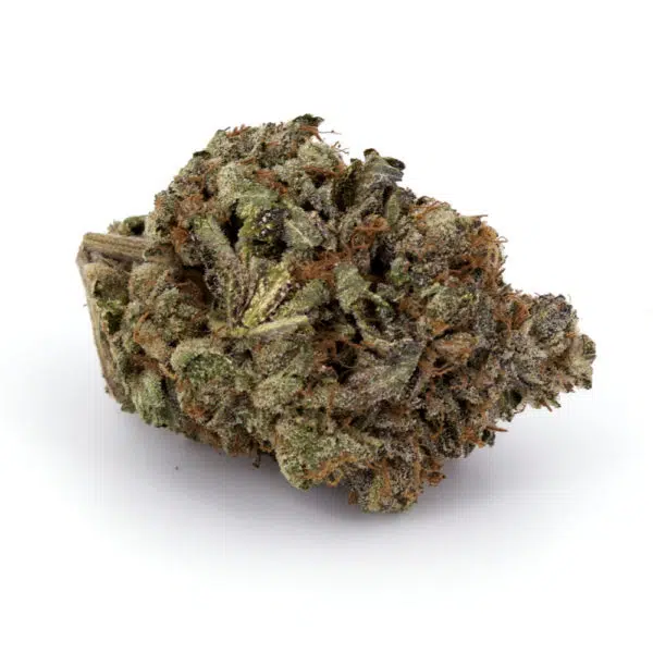 White Fire OG, White Fire OG AAAA, White Fire OG Cannabis Flower, White Fire OG Hybrid, AAAA Cannabis Flower, Premium Cannabis Flower, OG Cannabis Strain, Pine Cannabis Flower, White Fire OG, White Fire OG AAAA, White Fire OG Cannabis Flower, White Fire OG Hybrid, AAAA Cannabis Flower, Premium Cannabis Flower, OG Cannabis Strain, Pine Cannabis Flower,