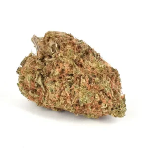 Alaskan Thunder Fuck, Alaskan Thunder Fuck AAA, AAA Cannabis Flower, Sativa Cannabis, Diesel Cannabis, Pine Cannabis, Premium Cannabis Flower, Shop Puff Dispensary Alaskan Thunder Fuck, Alaskan Thunder Fuck AAA, AAA Cannabis Flower, Sativa Cannabis, Diesel Cannabis, Pine Cannabis, Premium Cannabis Flower, Shop Puff Dispensaryannabis flower, Cannabis Exotic Dispensary cannabis, lab-tested cannabis flower, high THC cannabis, potent indica-dominant hybrid, earthy pine cannabis, discreet cannabis shipping, adult-use cannabis flower