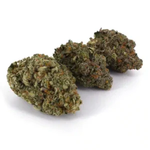 Frosted Gelato, Frosted Gelato AAAA, Frosted Gelato Cannabis, Frosted Gelato Flower, AAAA Cannabis Flower, Hybrid Cannabis, Premium Cannabis Flower, Frosted Gelato 21% THC