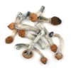 Remove term: psychedelic mushroom strain psychedelic mushroom strainRemove term: spiritual mushroom experience spiritual mushroom experienceRemove term: therapeutic psilocybin therapeutic psilocybinRemove term: Psilocybin Mushroom Information Psilocybin Mushroom Information Remove term: psychedelic mushroom strain psychedelic mushroom strainRemove term: spiritual mushroom experience spiritual mushroom experienceRemove term: therapeutic psilocybin therapeutic psilocybinRemove term: Psilocybin Mushroom Information Psilocybin Mushroom Information