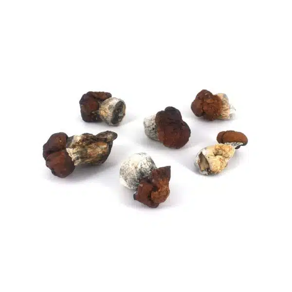 penis-envy-dino Blue Louie cannabis strain, premium cannabis flower, discreet cannabis shipping, relaxing cannabis effects, adult cannabis use, Cannabis Exotic Dispensary