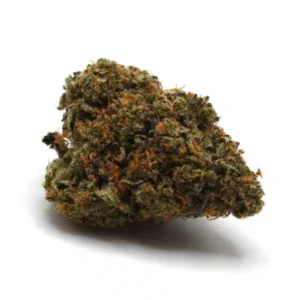 Scotty 2 Hotty, Scotty 2 Hotty AAA, AAA Cannabis Flower, Premium Cannabis Flower, Hybrid Cannabis, Shop Puff Dispensary Scotty 2 Hotty, Scotty 2 Hotty AAA, AAA Cannabis Flower, Premium Cannabis Flower, Hybrid Cannabis, Shop Puff Dispensary