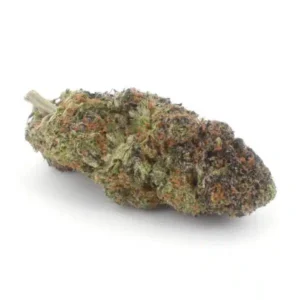 Unicorn Poop, Unicorn Poop AAAA, Unicorn Poop Cannabis Flower, Unicorn Poop Hybrid, AAAA Cannabis Flower, Premium Hybrid Flower, Berry Cannabis Flower, Citrus Cannabis Flower, Unicorn Poop, Unicorn Poop AAAA, Unicorn Poop Cannabis Flower, Unicorn Poop Hybrid, AAAA Cannabis Flower, Premium Hybrid Flower, Berry Cannabis Flower, Citrus Cannabis Flower,