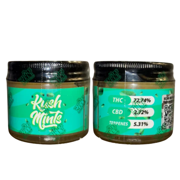 KUSH MINTS Whole Melt Extracts live resin badder, live resin badder 1oz, Whole Melt Extracts concentrates, premium cannabis badder, bulk live resin concentrate, dab concentrates 1oz, terpene-rich badder, solvent-based cannabis extract, Whole Melt Extracts badder jar, Cannabis Exotic Dispensary concentrates, CED premium extracts, trusted cannabis dispensary, reliable cannabis shipping, top-tier live resin badder