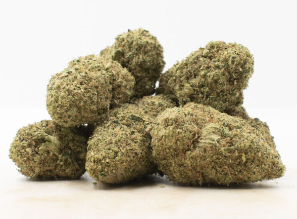 CBD Shark strain, high CBD cannabis, anxiety relief cannabis, CBD-dominant weed, low THC cannabis, calming cannabis strain, stress relief CBD, therapeutic cannabis, CED cannabis strains, premium CBD weed, safe cannabis shipping worldwide CBD Shark strain, high CBD cannabis, anxiety relief cannabis, CBD-dominant weed, low THC cannabis, calming cannabis strain, stress relief CBD, therapeutic cannabis, CED cannabis strains, premium CBD weed, safe cannabis shipping worldwide