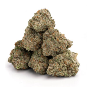 Jack Herer cannabis strain, classic sativa strain, anxiety relief cannabis, stress relief weed, uplifting sativa strain, focus and creativity cannabis, daytime cannabis, CED cannabis, premium sativa strain, safe cannabis shipping Jack Herer cannabis strain, classic sativa strain, anxiety relief cannabis, stress relief weed, uplifting sativa strain, focus and creativity cannabis, daytime cannabis, CED cannabis, premium sativa strain, safe cannabis shipping