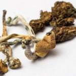 shop puff dispensary